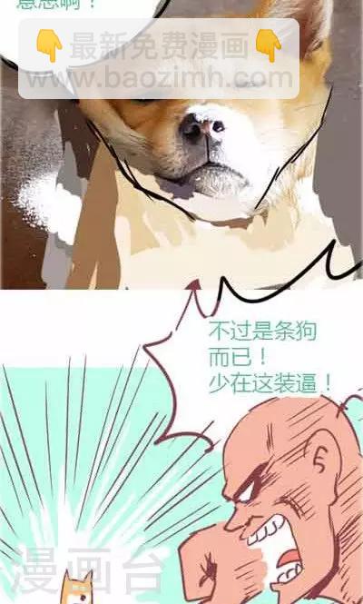 番外2 造粪机中队-第2话