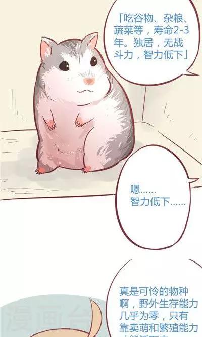 第8话1 仓鼠篇-第30话