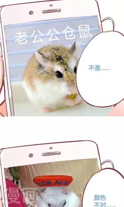 第8话1 仓鼠篇-第30话