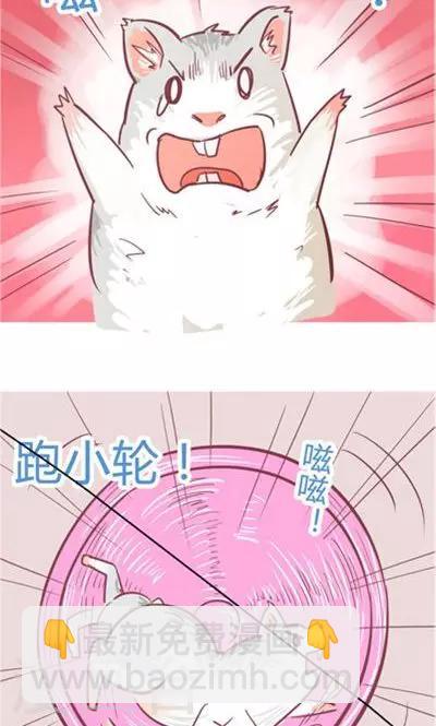 第8话3 仓鼠篇-第32话