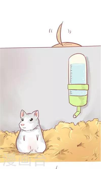 第8话3 仓鼠篇-第32话