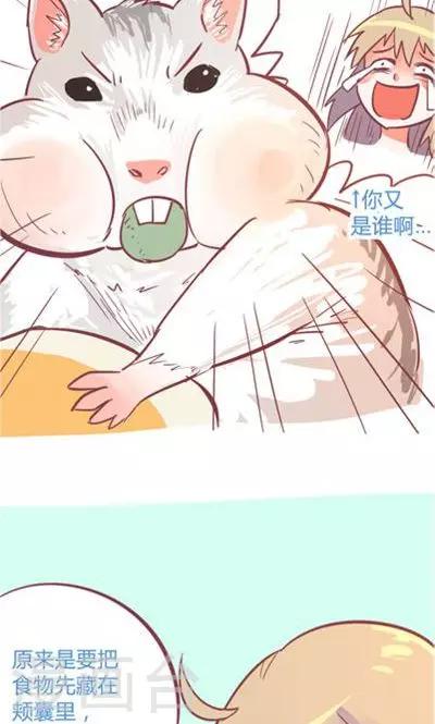 第8话3 仓鼠篇-第32话
