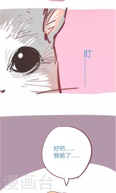 第8话5 仓鼠篇(1/2)-第34话