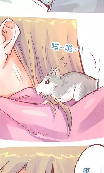 第8话5 仓鼠篇(1/2)-第34话