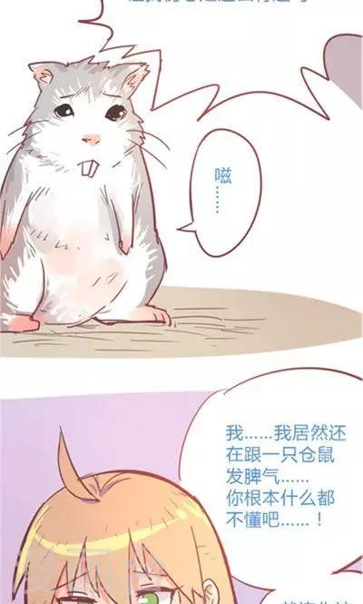 第8话5 仓鼠篇(1/2)-第34话