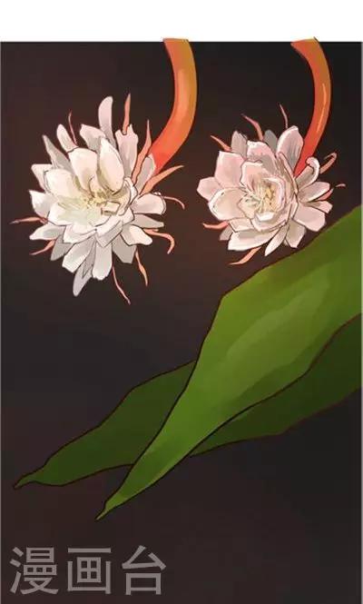 第8话7 夜-第36话