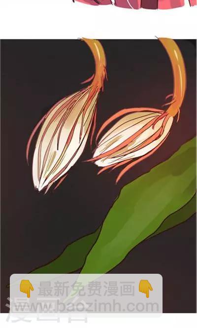 第8话7 夜-第36话