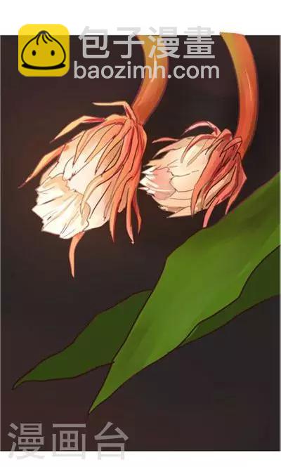 第8话7 夜-第36话