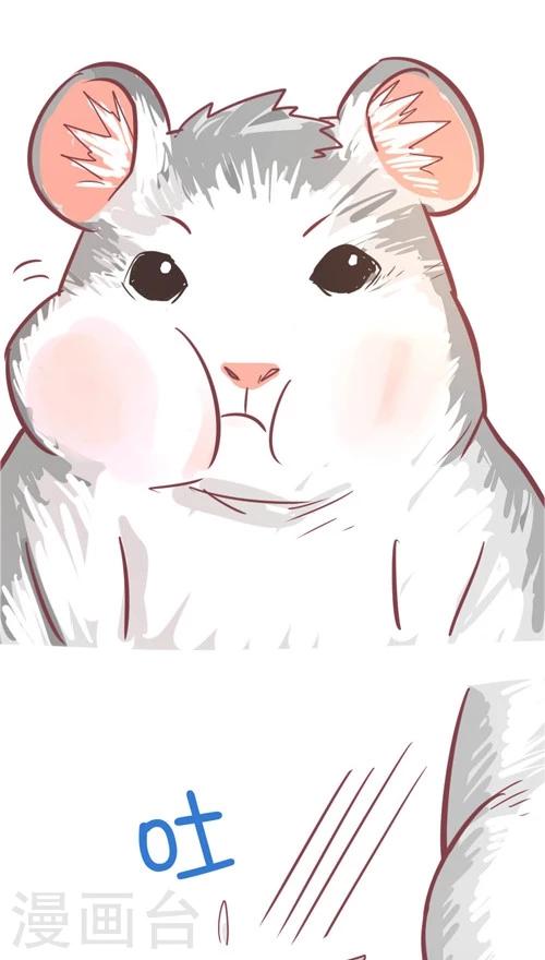 第10话11 夜-第50话