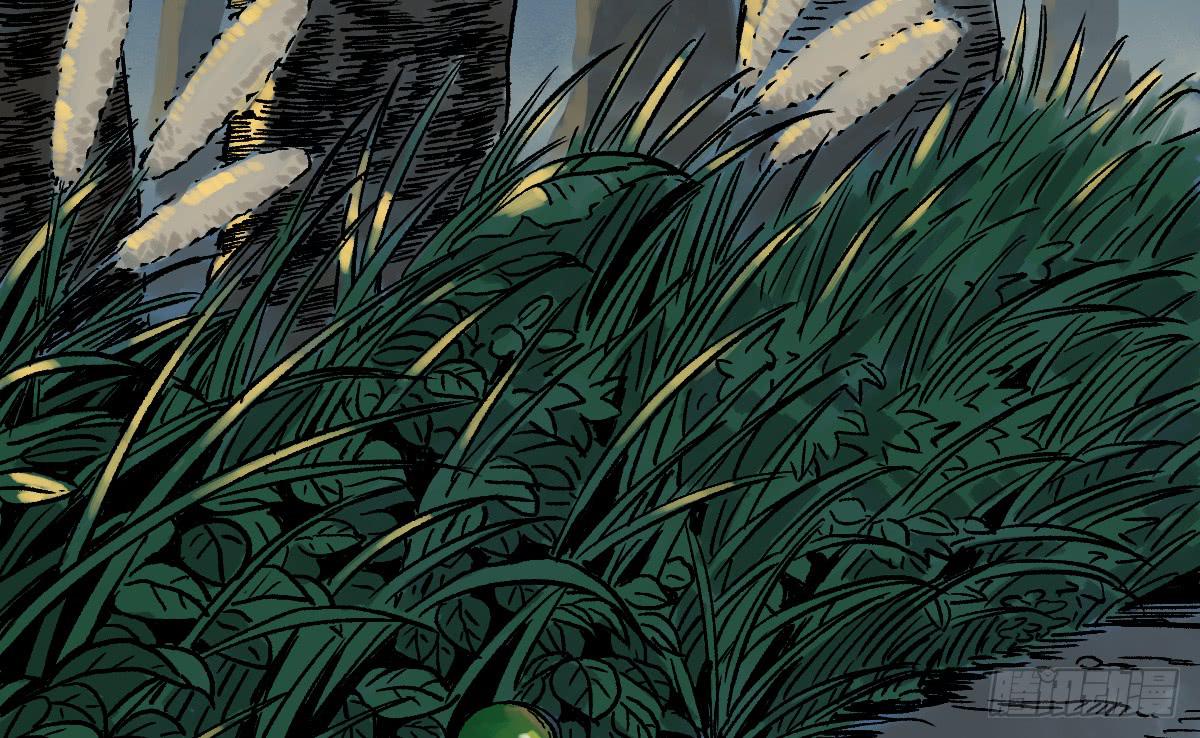 十里常青 - 13-第五險(1/2) - 7