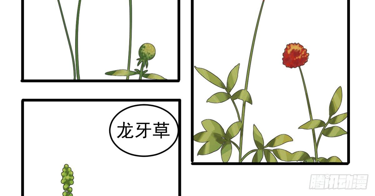 十里常青 - 7-碧落險Ⅱ - 4