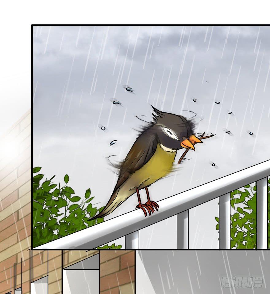 闺蜜show time！-第20话