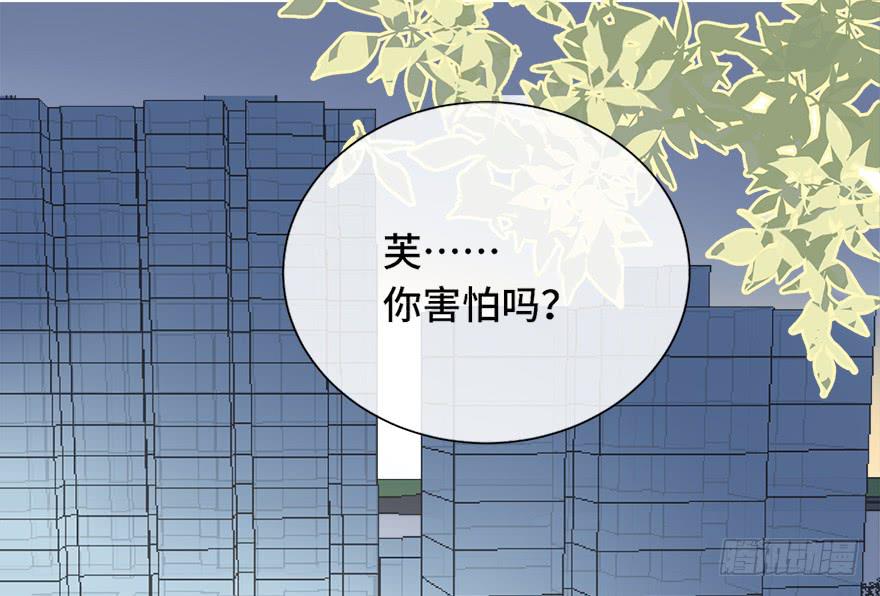 第三十话(1/2)-第32话