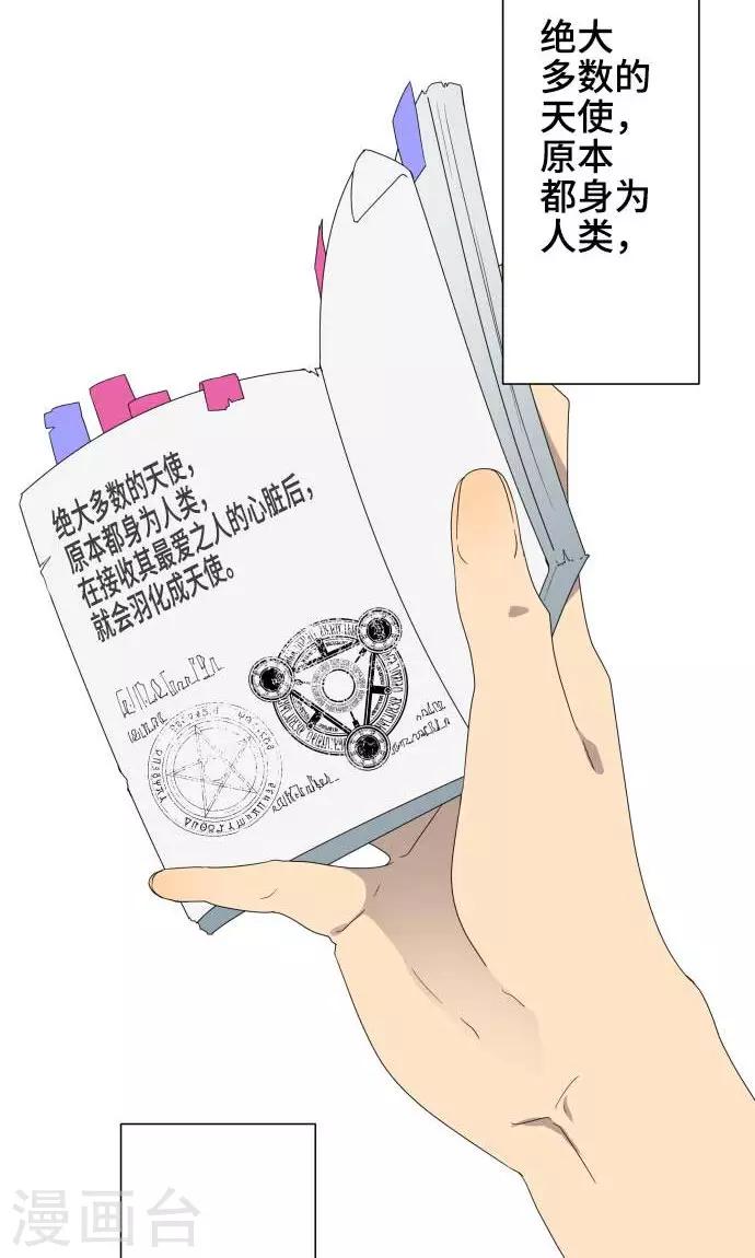 第22话 雏鸟-第22话