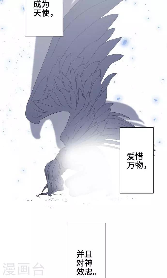 第22话 雏鸟-第22话