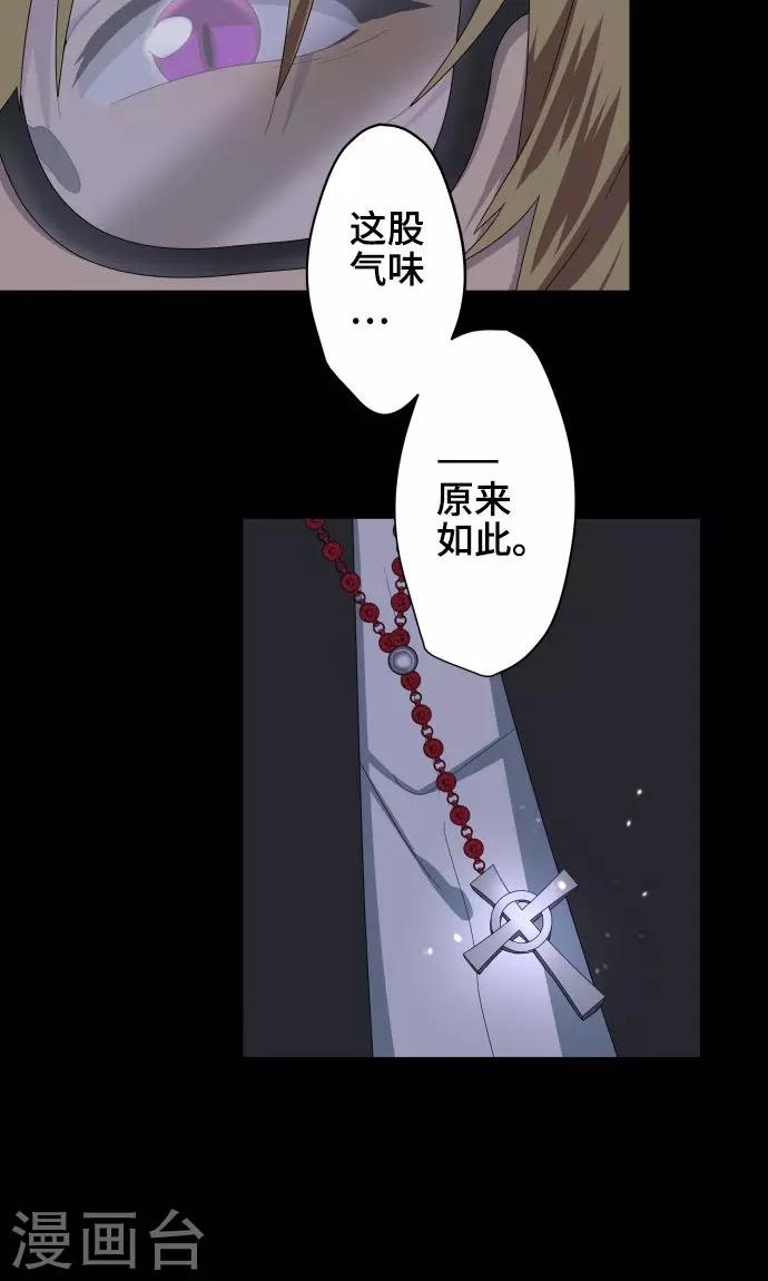 第22话 雏鸟-第22话