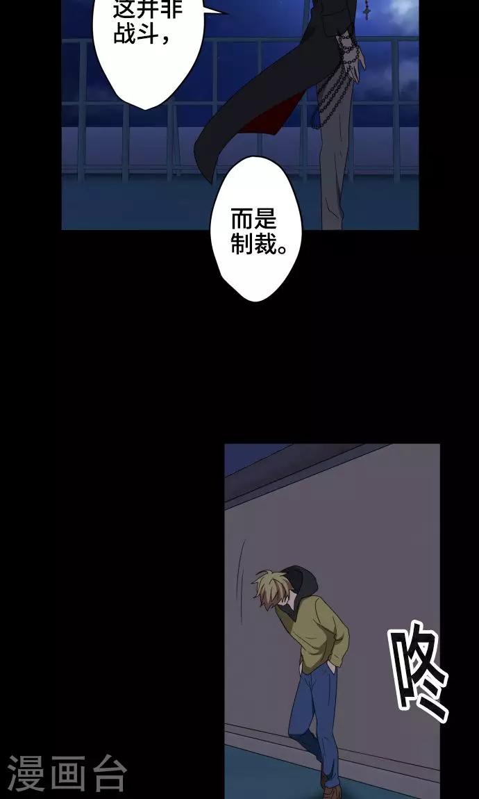 第22话 雏鸟-第22话