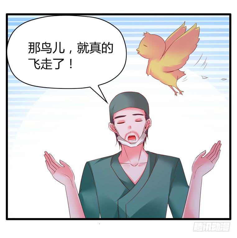 切鸟疗伤(1/2)-第76话