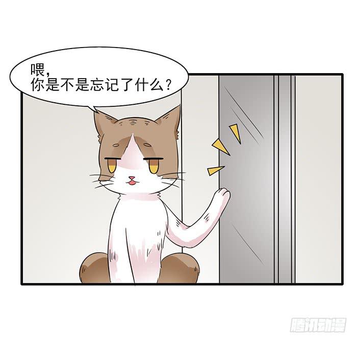 雙喵圖騰 - 第011話 - 4