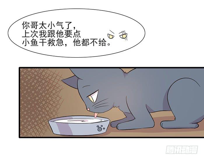 雙喵圖騰 - 第013話 - 1