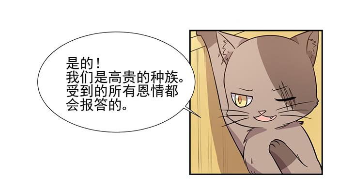 雙喵圖騰 - 第027話 - 1