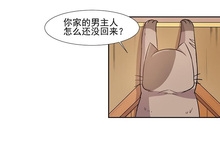 雙喵圖騰 - 第027話 - 3