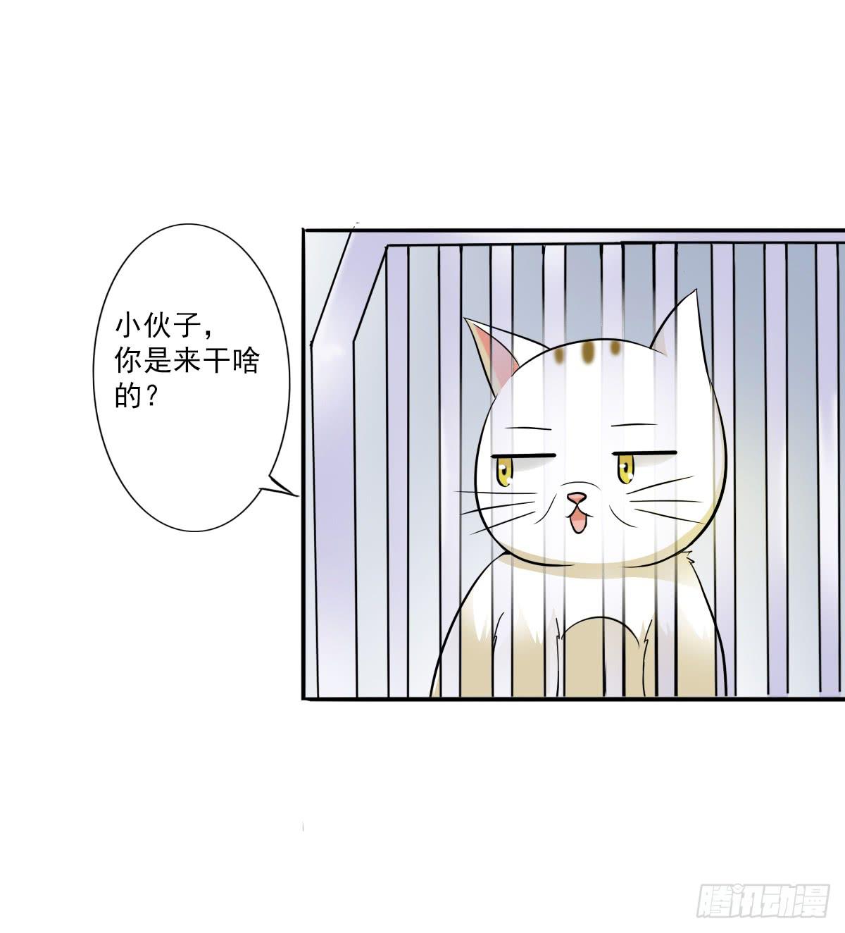 雙喵圖騰 - 第003話 - 7