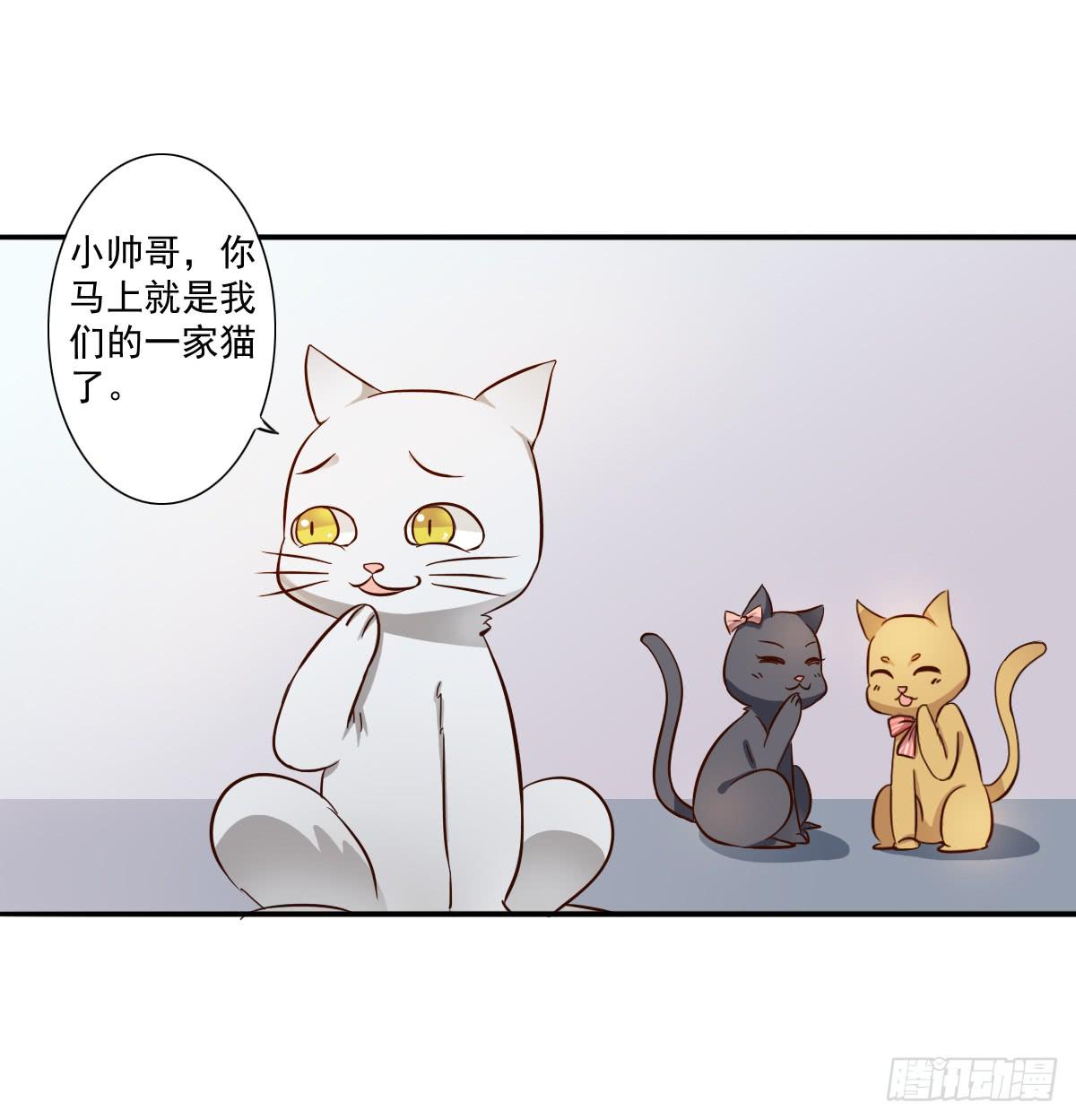 雙喵圖騰 - 第003話 - 1