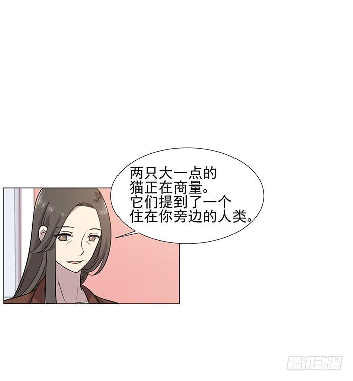 雙喵圖騰 - 第040話(1/2) - 3