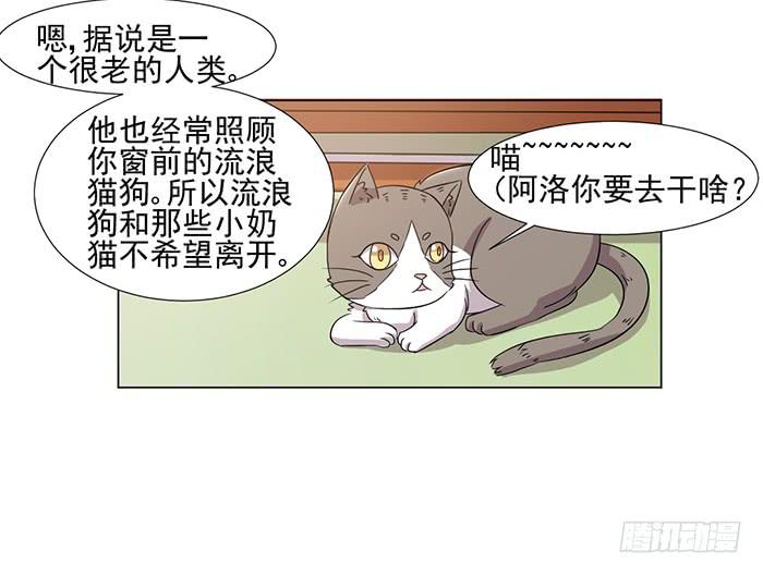 第040话(1/2)-第42话