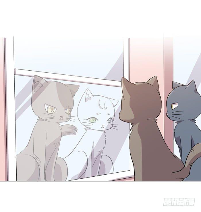 第040话(1/2)-第42话