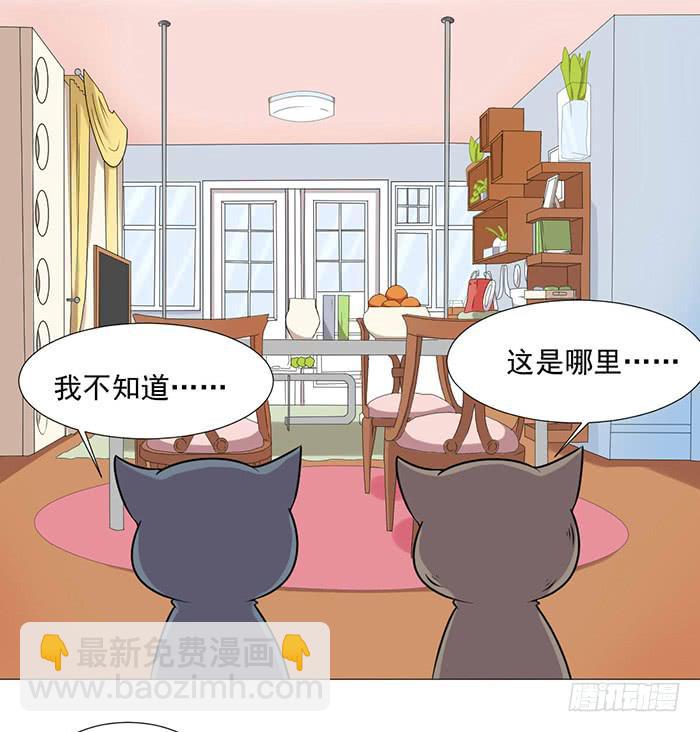 雙喵圖騰 - 第040話(1/2) - 2