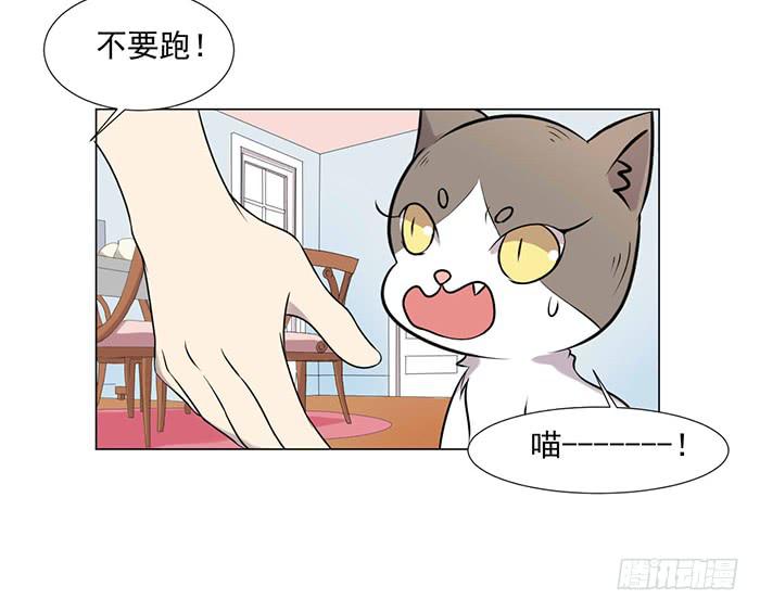 第040话(1/2)-第42话