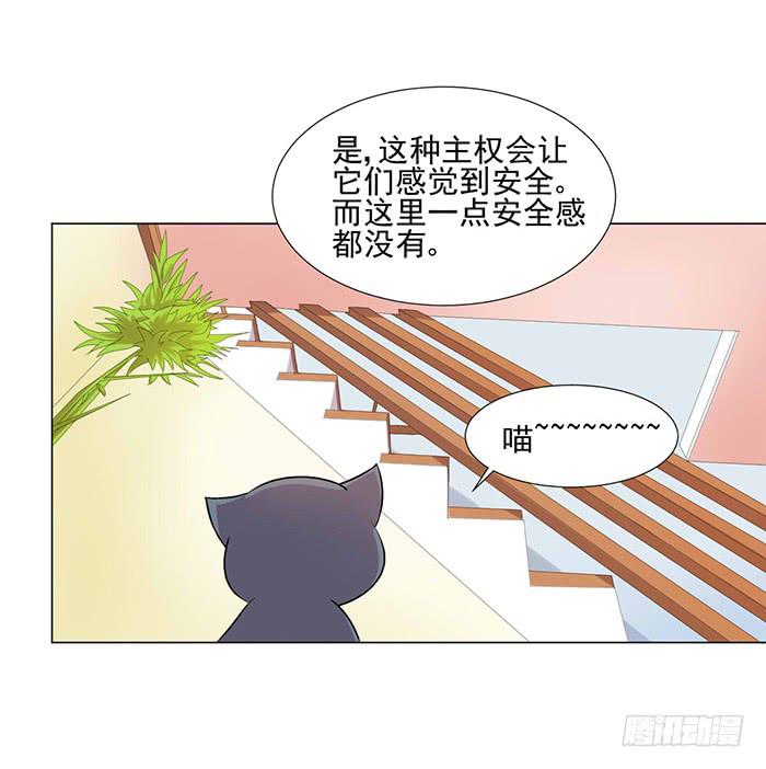 第040话(1/2)-第42话