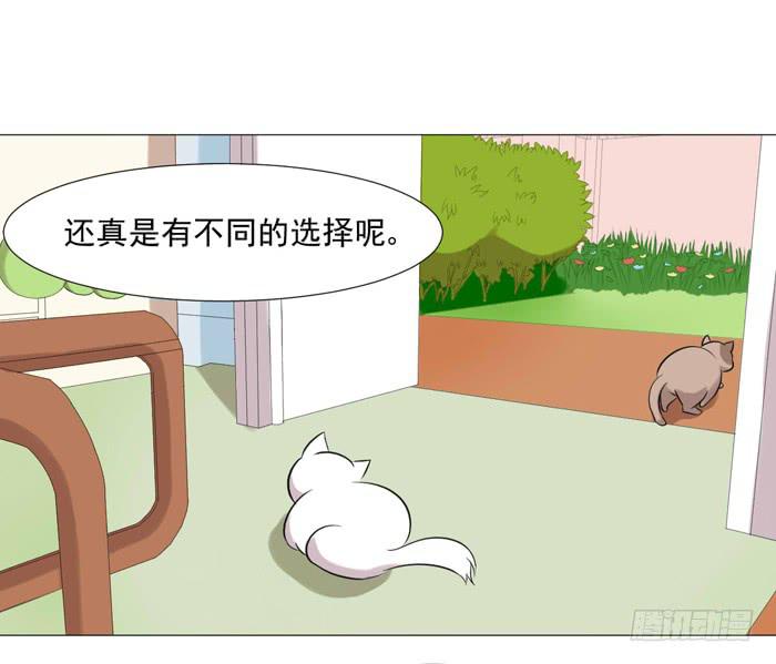 第040话(1/2)-第42话