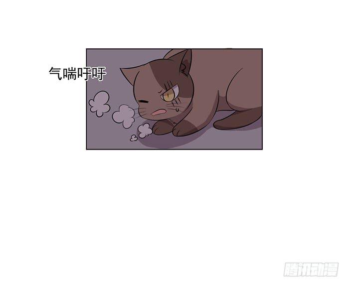 第042话(1/2)-第44话