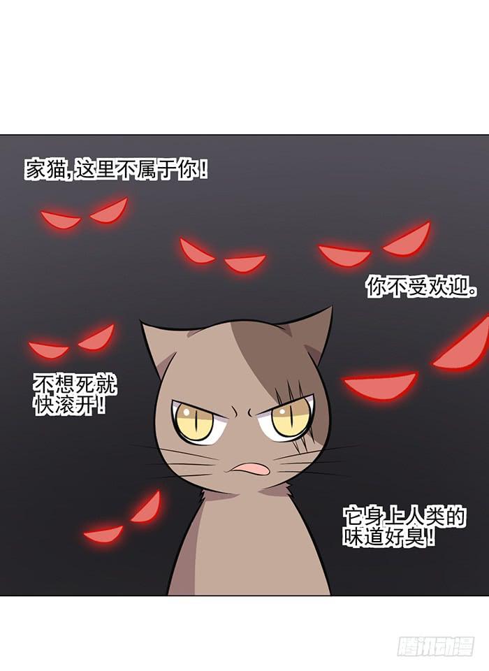 第042话(1/2)-第44话