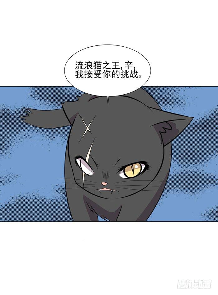 第042话(1/2)-第44话