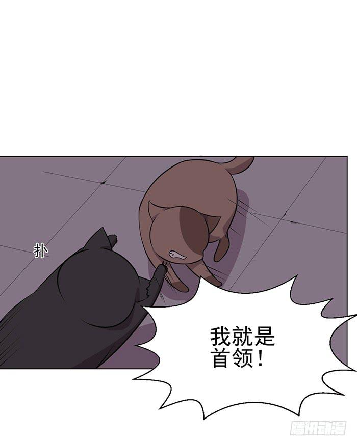 第042话(1/2)-第44话