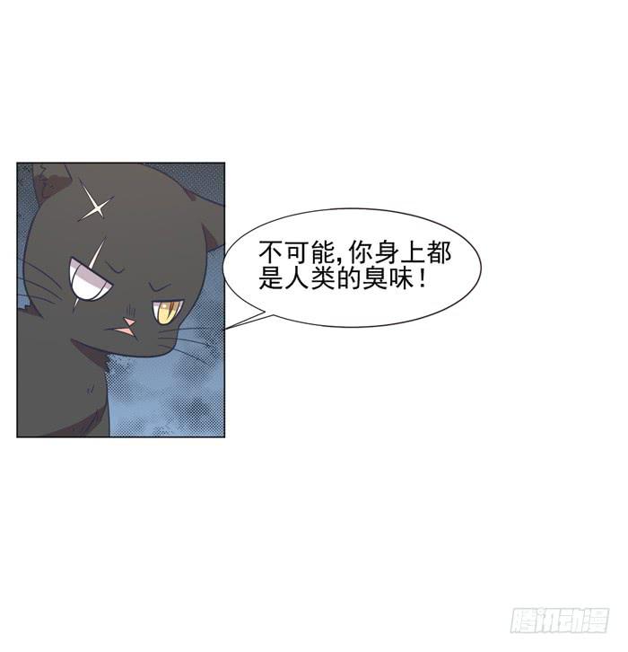 第042话(1/2)-第44话