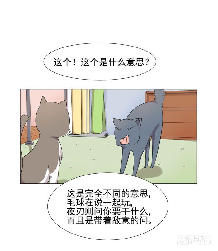 雙喵圖騰 - 最終話 - 7