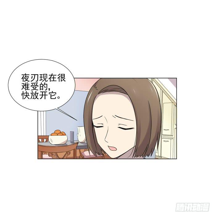 最终话-第48话