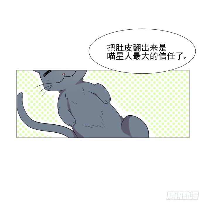 最终话-第48话