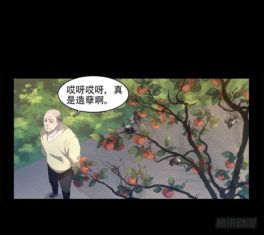 【番外014鸟尸】-第54话