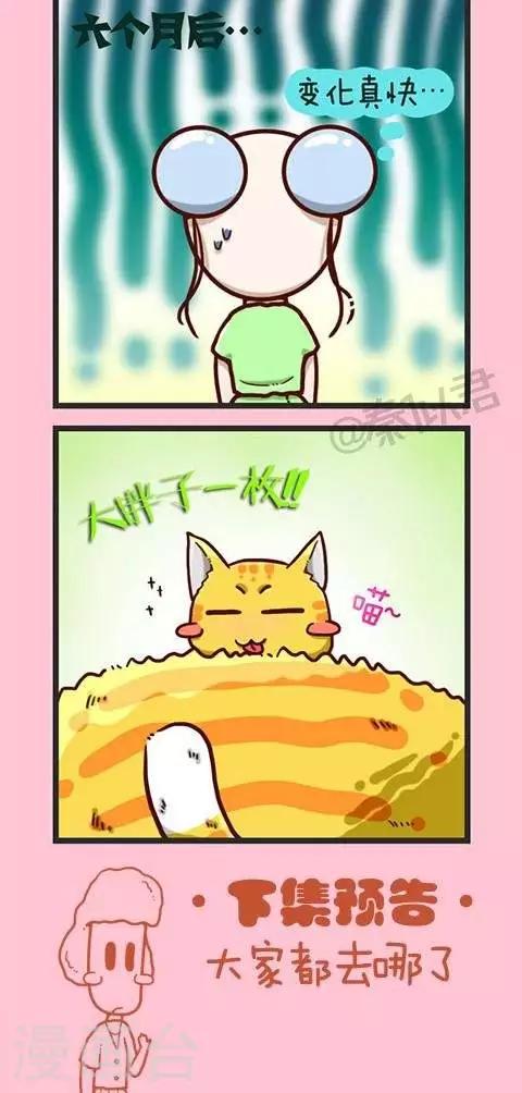 第2话  小猫-第2话