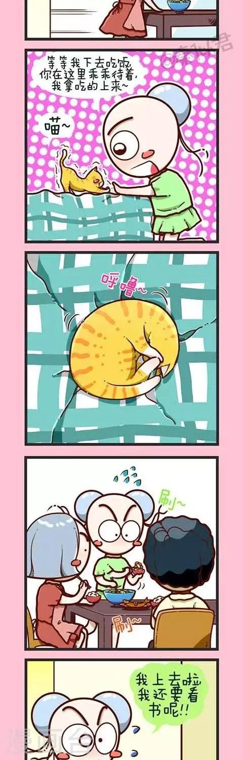 第2话  小猫-第2话