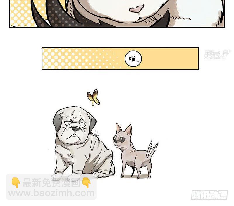 21 喵来了-第20话