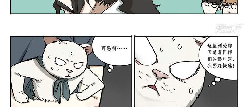 23 猫咪绝育-第22话
