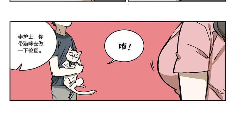 23 猫咪绝育-第22话