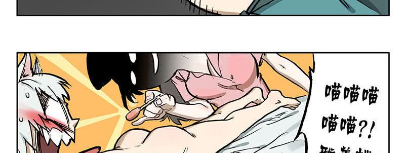 23 猫咪绝育-第22话